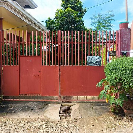 Peace Lily Studio Apartments Panglao Kültér fotó