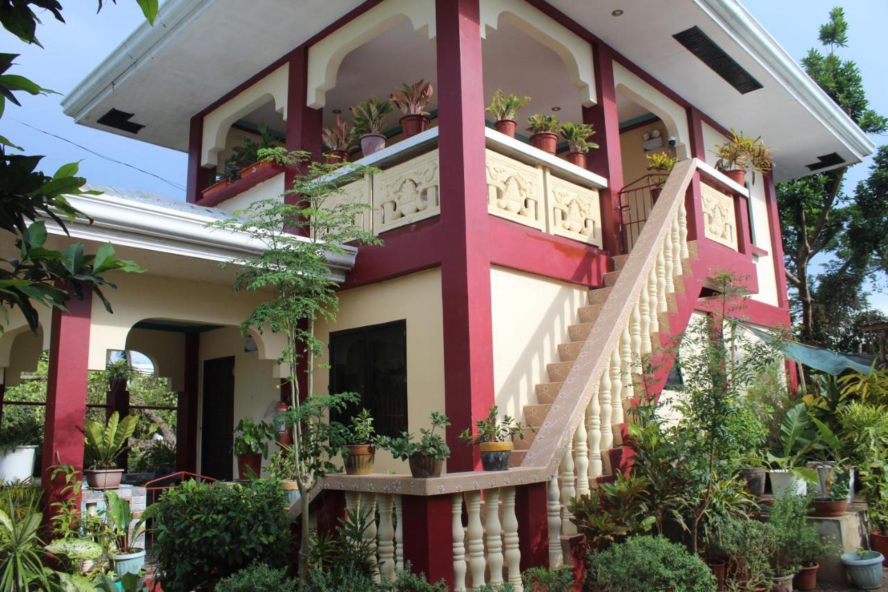 Peace Lily Studio Apartments Panglao Kültér fotó