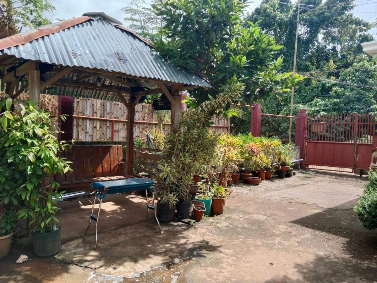Peace Lily Studio Apartments Panglao Kültér fotó