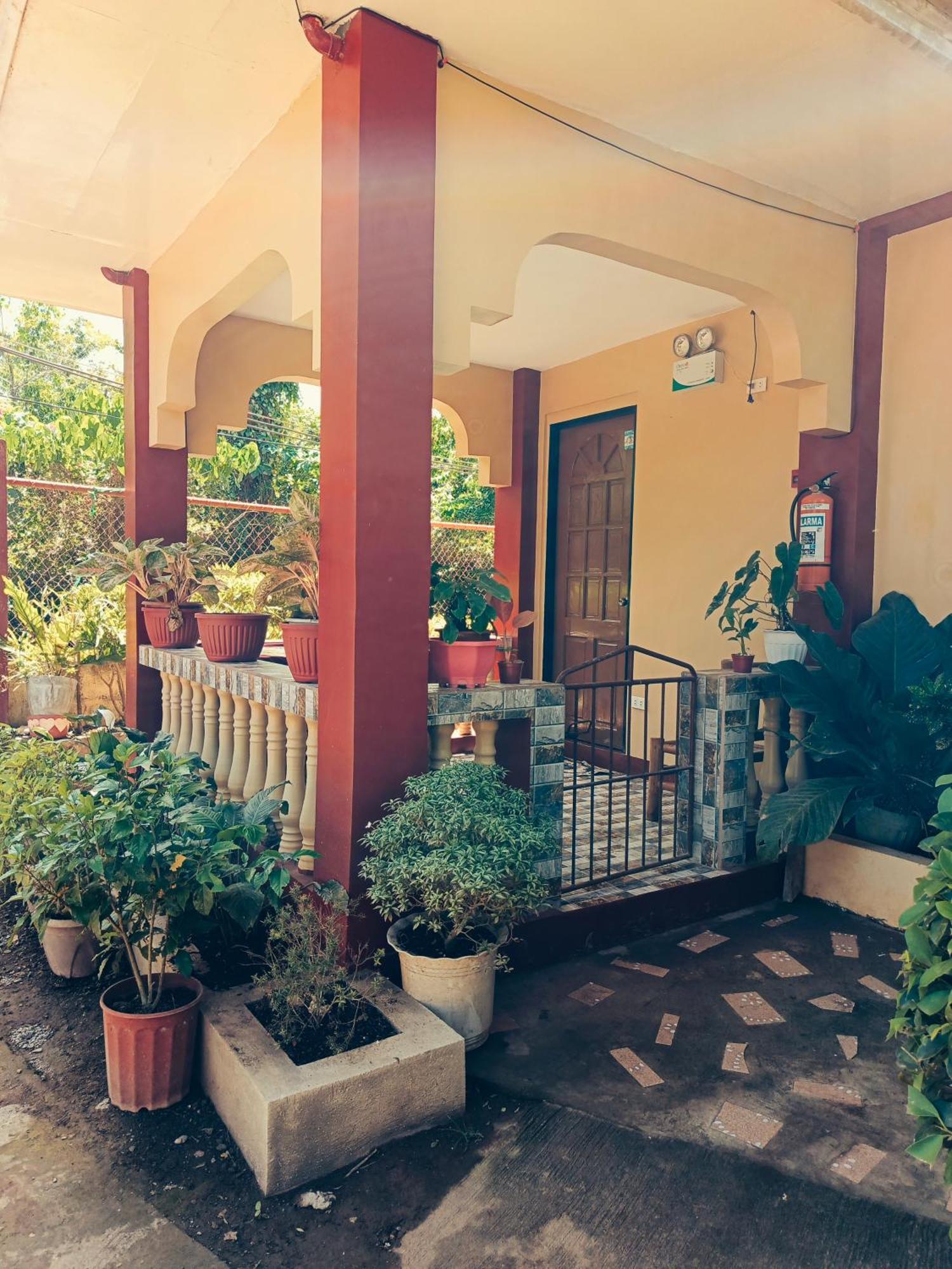 Peace Lily Studio Apartments Panglao Kültér fotó