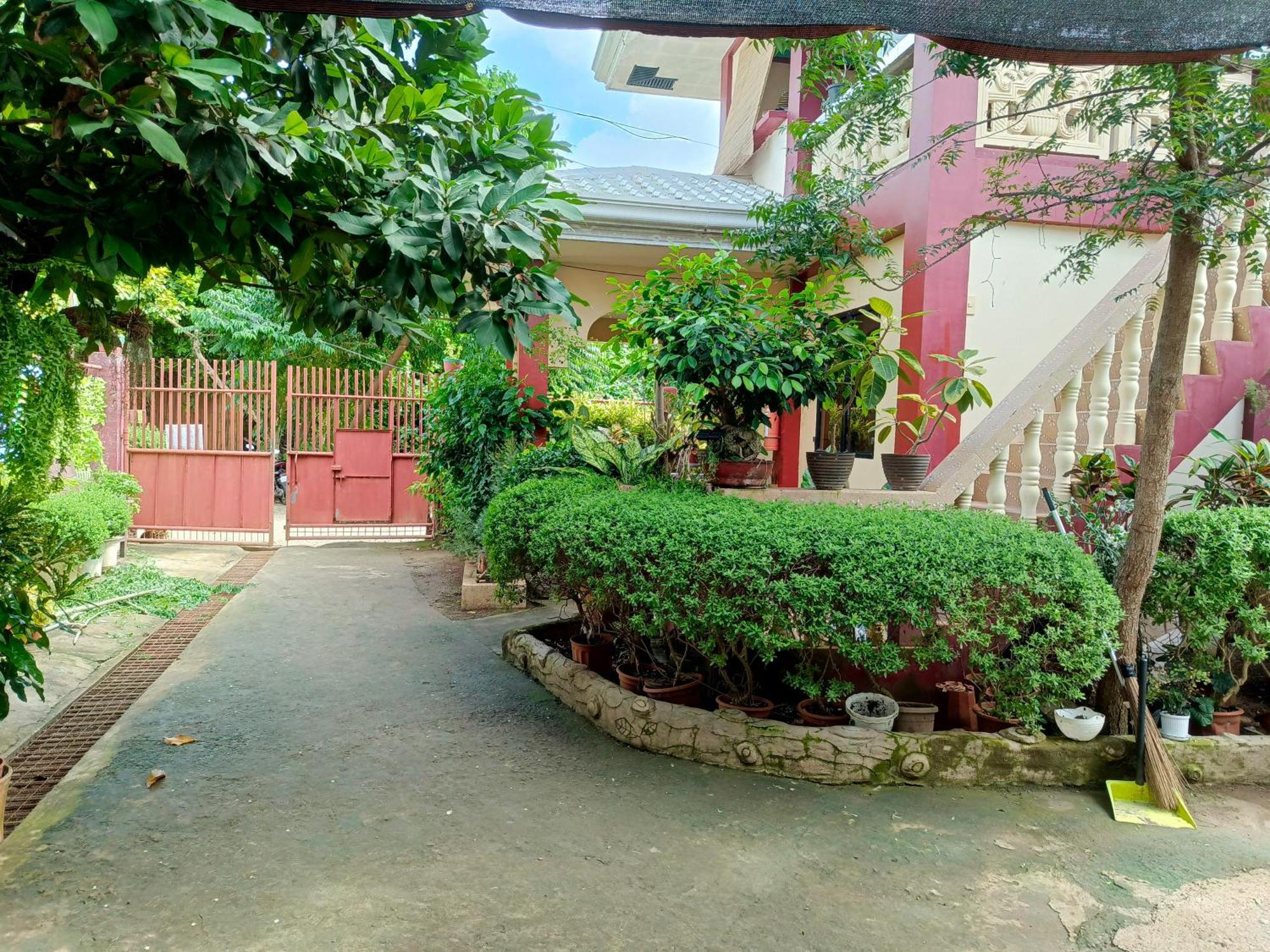 Peace Lily Studio Apartments Panglao Kültér fotó