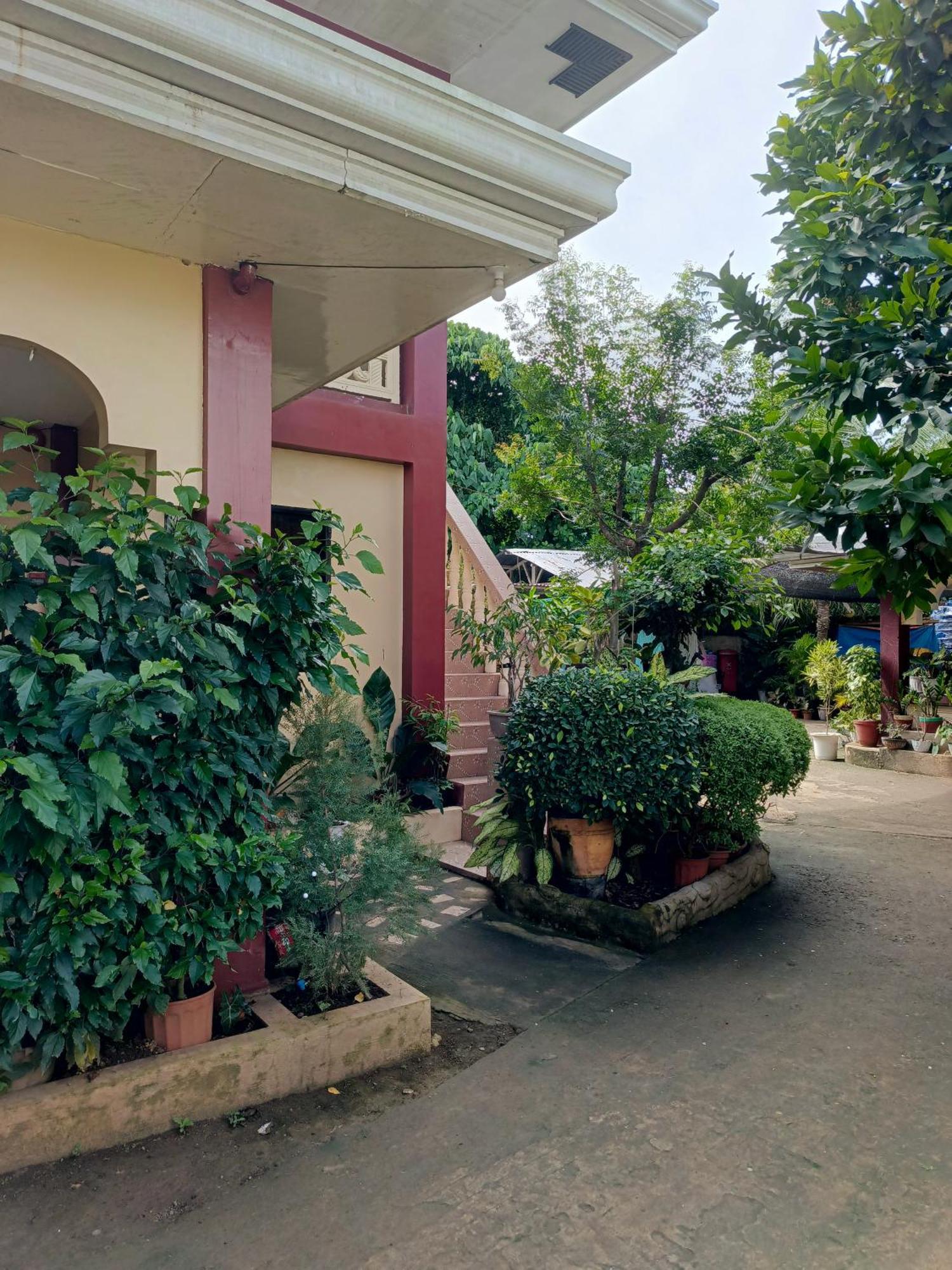 Peace Lily Studio Apartments Panglao Kültér fotó